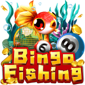 Bingo Fishing 990k3 fishing