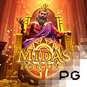 Midas Fortune 990k3 hot