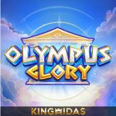 Olympus Glory 990k3 cards